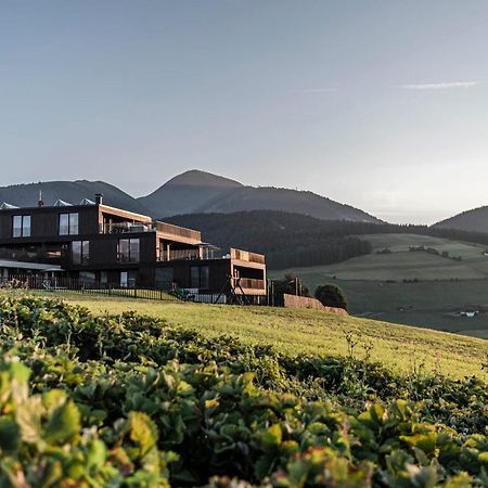 Aparthotel Panorama Living Dolomites Maranza Luaran gambar